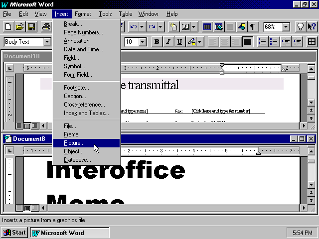 Microsoft Word 95 Multiple Windows (1995)
